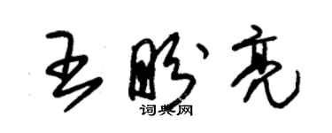 朱錫榮王盼亮草書個性簽名怎么寫