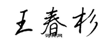 王正良王春杉行書個性簽名怎么寫