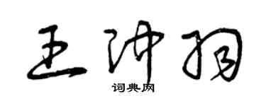 曾慶福王沖羽草書個性簽名怎么寫