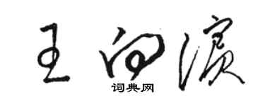 駱恆光王向濱草書個性簽名怎么寫