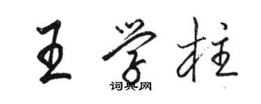 駱恆光王學柱行書個性簽名怎么寫