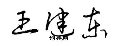 曾慶福王健東草書個性簽名怎么寫