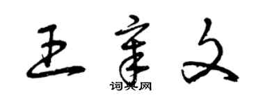 曾慶福王章文草書個性簽名怎么寫