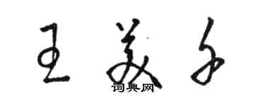 駱恆光王美千草書個性簽名怎么寫