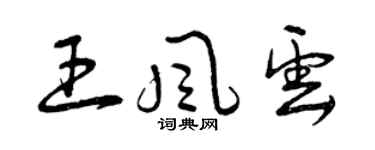 曾慶福王風雲草書個性簽名怎么寫