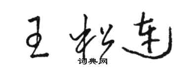 駱恆光王松連草書個性簽名怎么寫