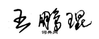 朱錫榮王鵬琨草書個性簽名怎么寫