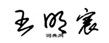 朱錫榮王明宸草書個性簽名怎么寫
