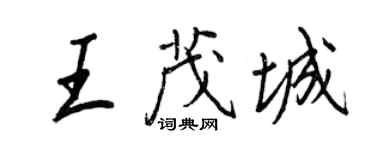 王正良王茂城行書個性簽名怎么寫