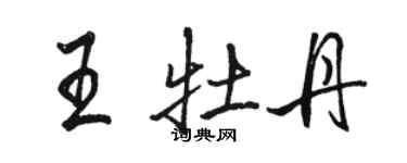 駱恆光王牡丹行書個性簽名怎么寫