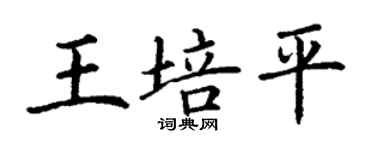 丁謙王培平楷書個性簽名怎么寫