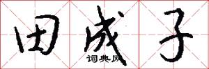 田成子怎么寫好看