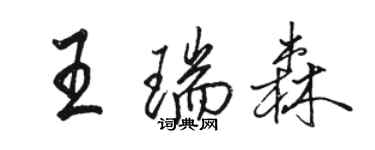 駱恆光王瑞森行書個性簽名怎么寫