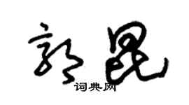 朱錫榮郭昆草書個性簽名怎么寫