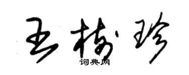 朱錫榮王樹珍草書個性簽名怎么寫