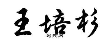 胡問遂王培杉行書個性簽名怎么寫