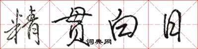 駱恆光精貫白日行書怎么寫