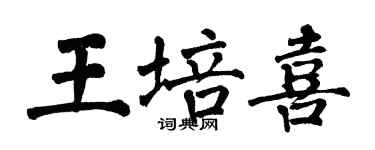 翁闓運王培喜楷書個性簽名怎么寫