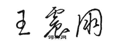 駱恆光王震朋草書個性簽名怎么寫