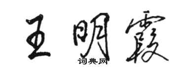 駱恆光王明霞行書個性簽名怎么寫
