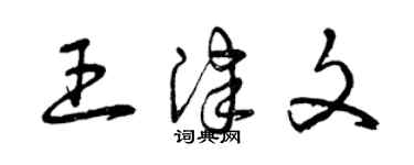 曾慶福王津文草書個性簽名怎么寫