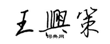 王正良王興策行書個性簽名怎么寫