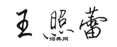 駱恆光王照蕾行書個性簽名怎么寫