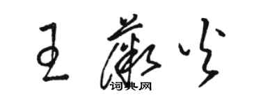 駱恆光王薇火草書個性簽名怎么寫
