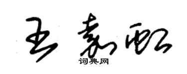 朱錫榮王嘉虹草書個性簽名怎么寫