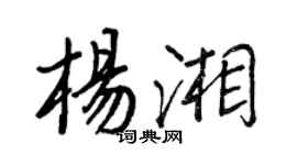 王正良楊湘行書個性簽名怎么寫