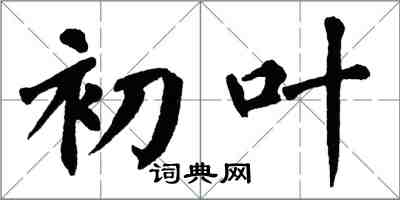 翁闓運初葉楷書怎么寫