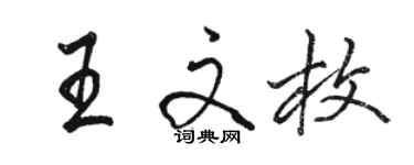 駱恆光王文枚行書個性簽名怎么寫