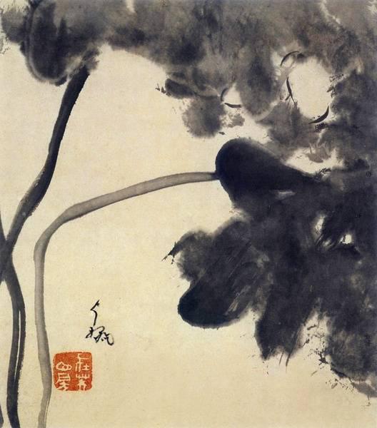 八大山人晚年作《安晚冊》