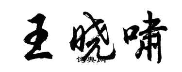 胡問遂王曉嘯行書個性簽名怎么寫