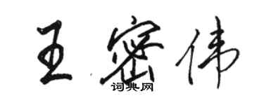 駱恆光王密偉行書個性簽名怎么寫