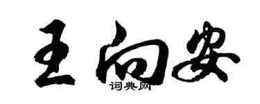 胡問遂王向安行書個性簽名怎么寫