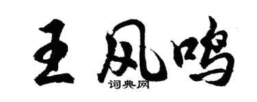 胡問遂王風鳴行書個性簽名怎么寫