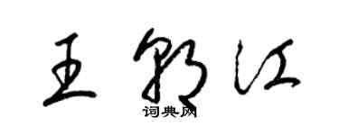 梁錦英王朝江草書個性簽名怎么寫