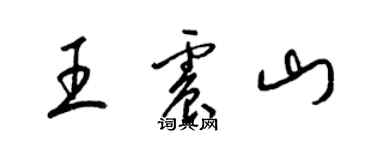 梁錦英王震山草書個性簽名怎么寫