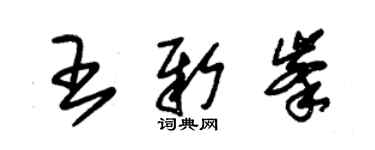 朱錫榮王新峰草書個性簽名怎么寫