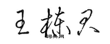 駱恆光王棟君草書個性簽名怎么寫