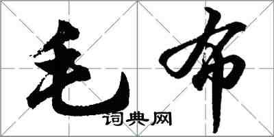 胡問遂毛布行書怎么寫