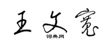 梁錦英王文寬草書個性簽名怎么寫