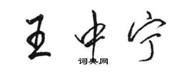 駱恆光王中寧行書個性簽名怎么寫