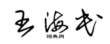 朱錫榮王海民草書個性簽名怎么寫