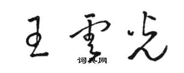 駱恆光王雲光草書個性簽名怎么寫