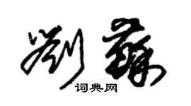 朱錫榮劉蘇草書個性簽名怎么寫