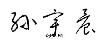 梁錦英孫宇晨草書個性簽名怎么寫